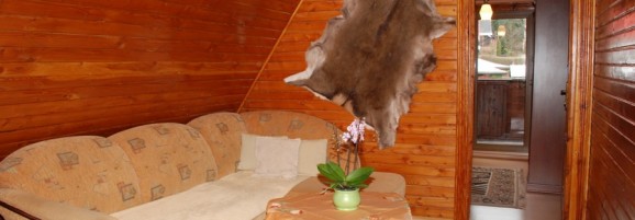 Apartament Różowy