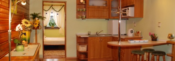 Aneks kuchenny w Apartamencie Zielonym