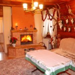 Apartament Kominkowy Salon