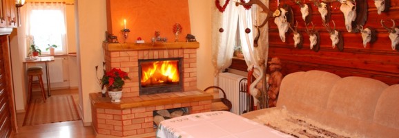 Apartament Kominkowy Salon